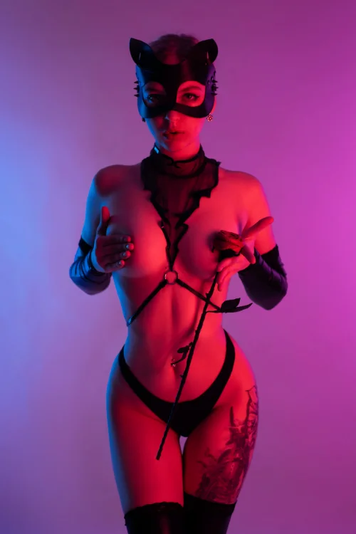 stripterka latex